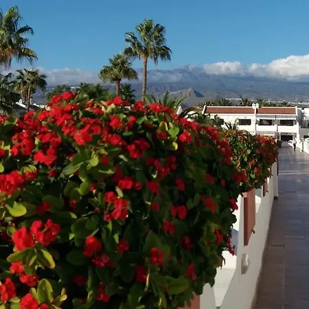 Bright Apartment With Pool In Tenerife South Costa Del Silencio Exterior photo